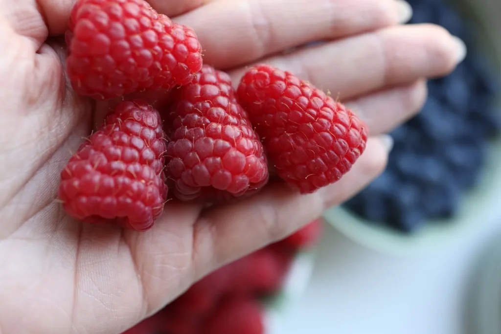 3 Ingredient Berry Cobbler