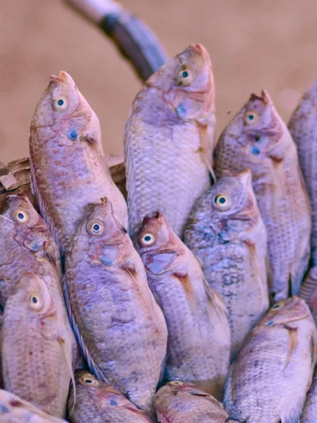 Air Fryer Tilapia