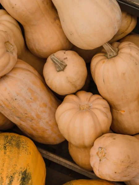 Apple Butternut Squash Casserole