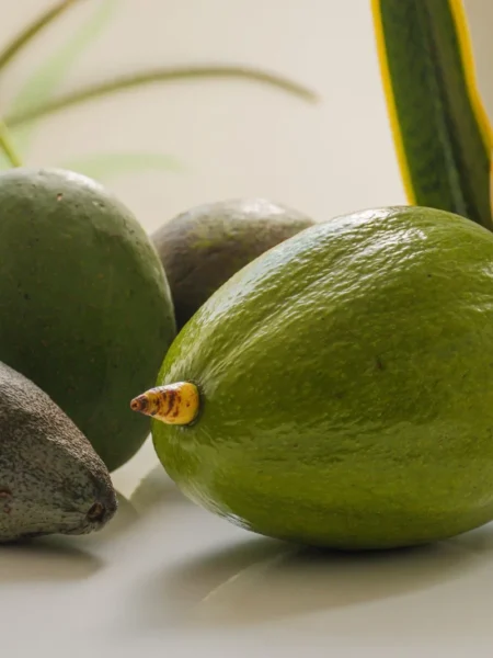 Avocado Crema