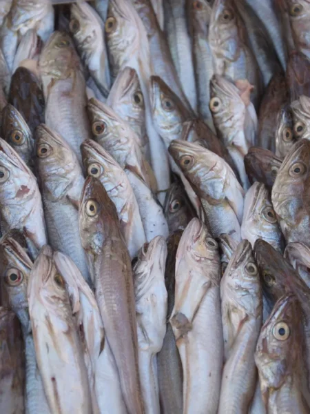 Baked Hake