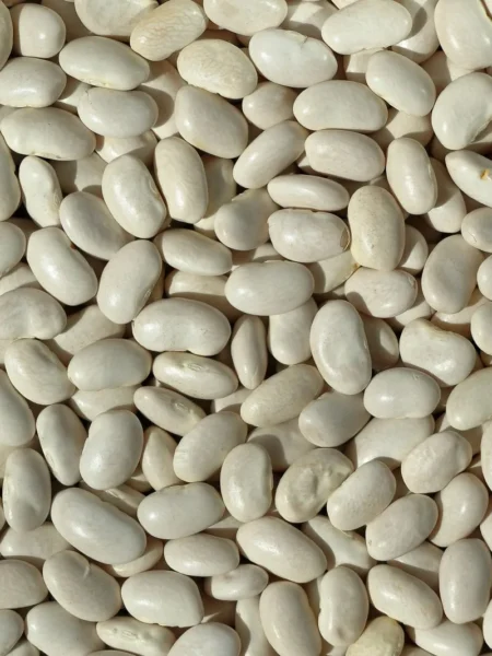Beans And Legumes