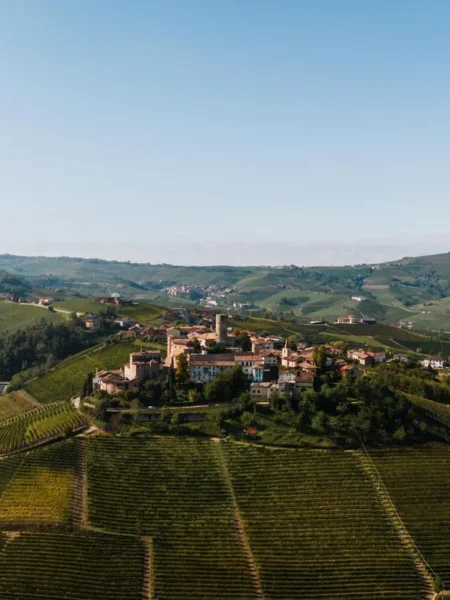 Beef In Barolo