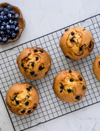 Blueberry Protein Muffins
