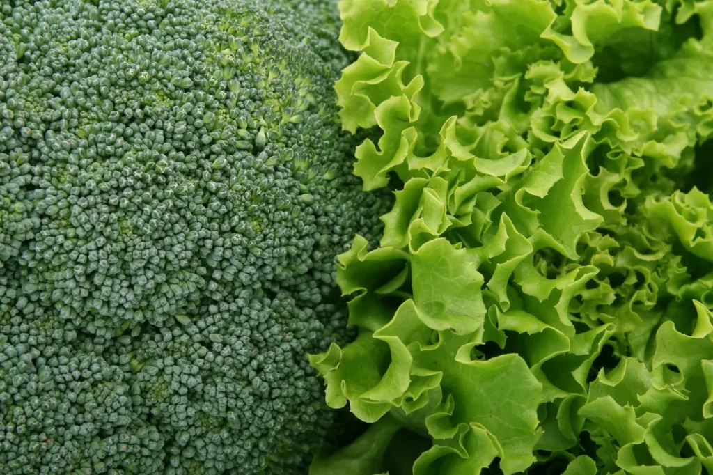 Broccoli Salad With Raisins And Bacon