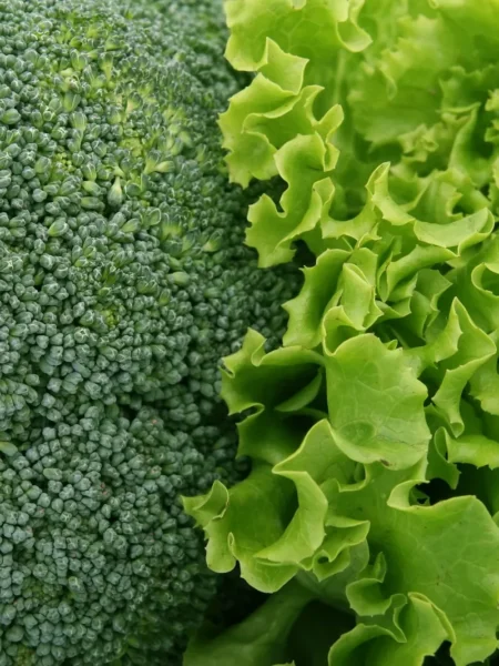 Broccoli Salad With Raisins And Bacon