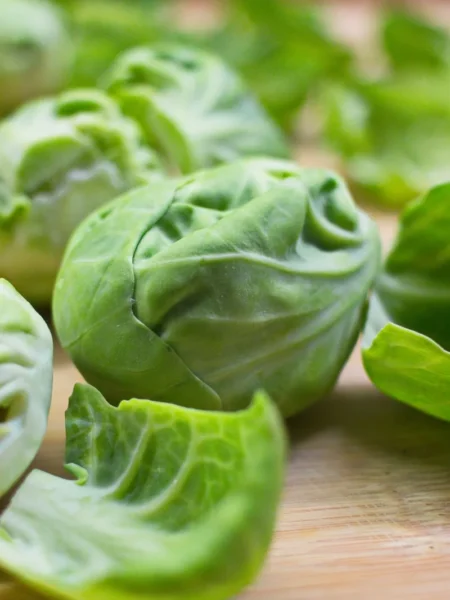 Brussels In Blankets