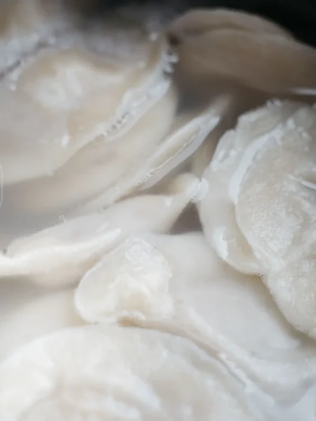 chicken and dumplings recipe from scratch with tender chicken, soft steamed dumplings, and carrot celery broth in a pot