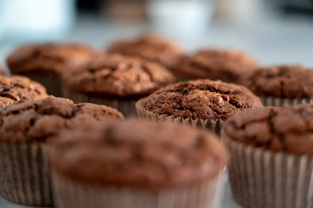 Chocolate Protein Muffins