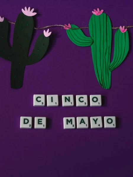 cinco de mayo recipe for fiesta