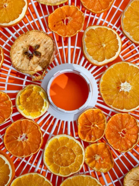 Dried Apple Slices
