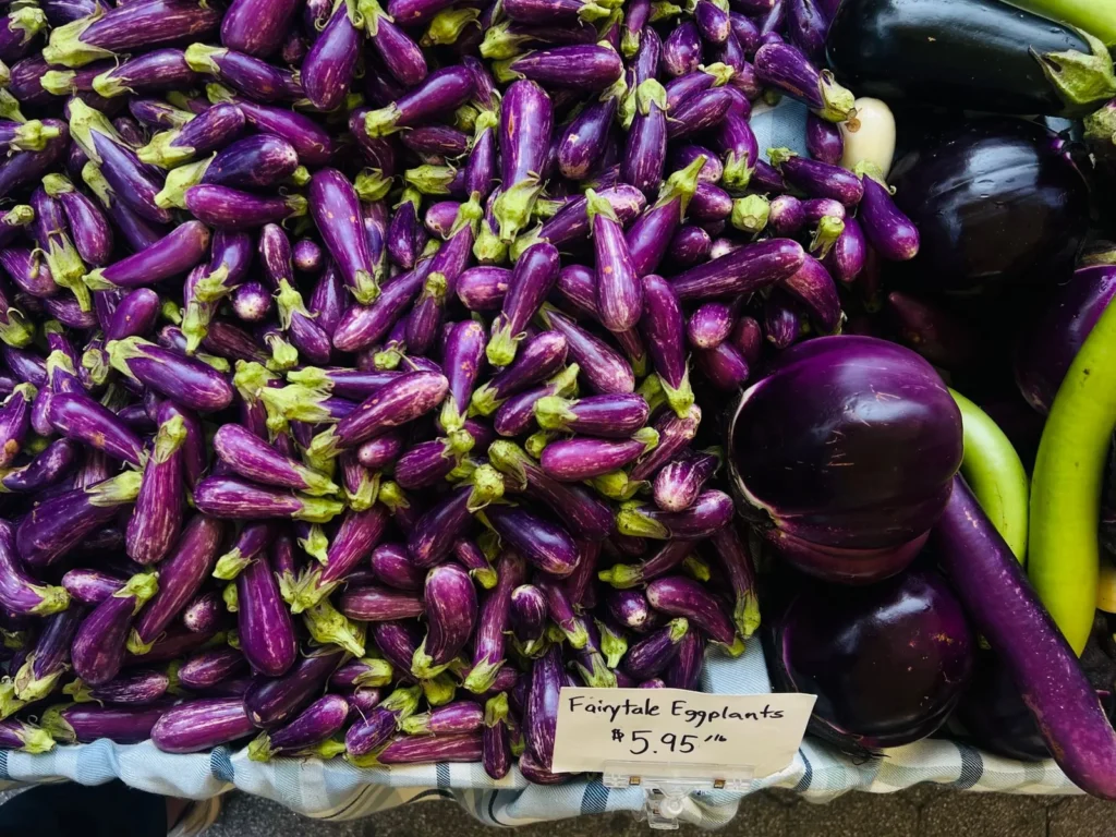 Eggplant Involtini