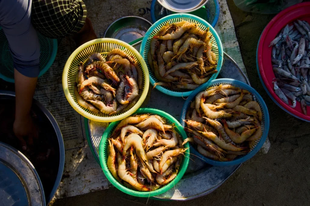 Fish And Shellfish