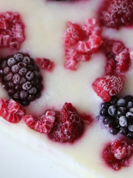 Frozen Yogurt Pops