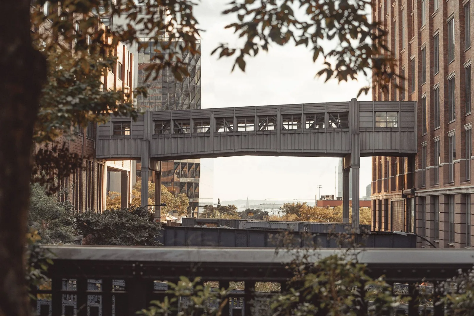 High Line Park In New York City