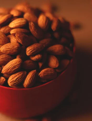 high protein snack recipe for muscle gain