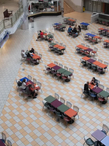 Honey Bourbon Chicken Mall Food Court Copycat