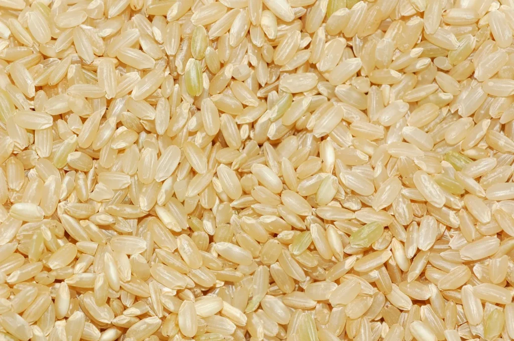 instant pot brown rice recipe perfect every time showing fluffy separate long-grain brown rice in a stainless steel pot