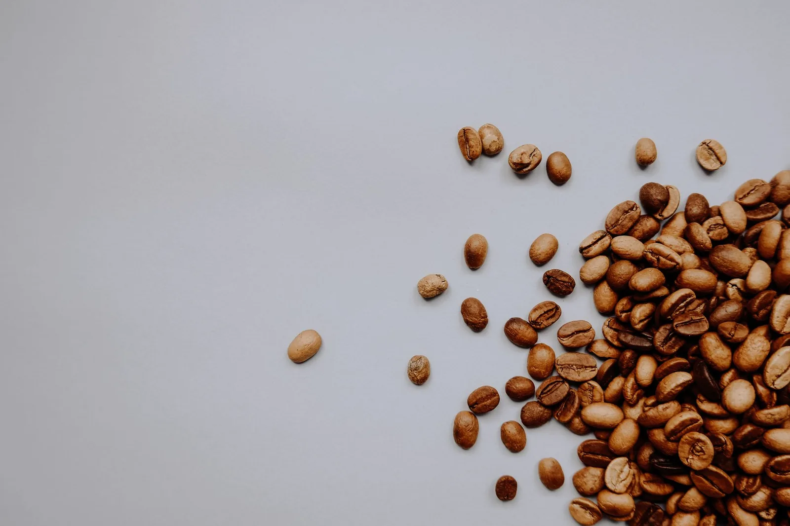 instant pot dried beans in broth after no soak cooking