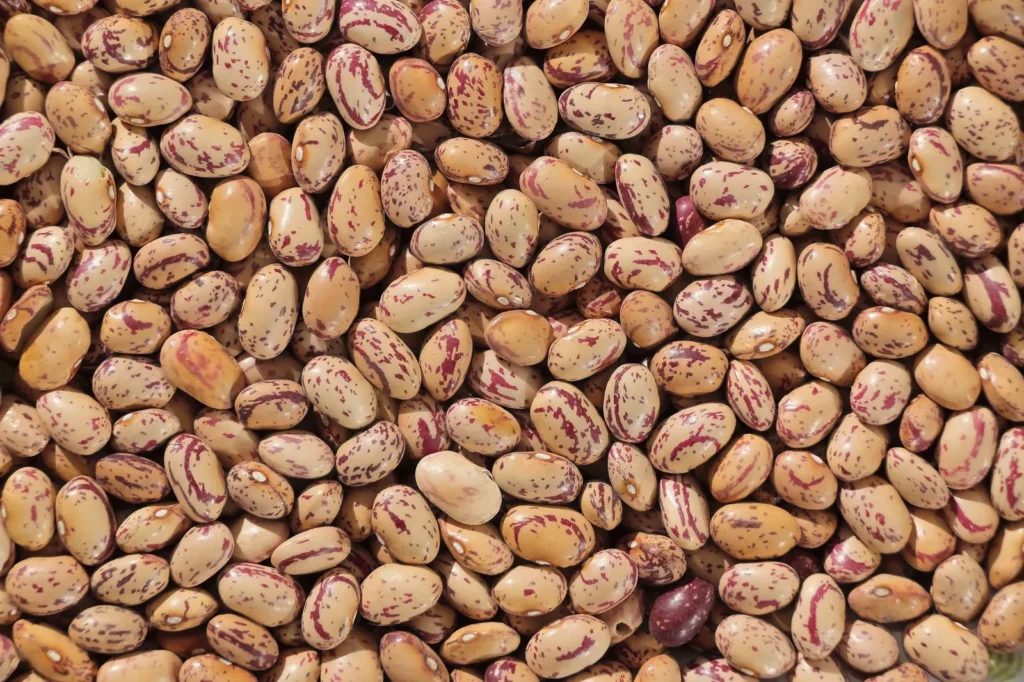 instant pot dried beans recipe no soaking with tender pinto beans in clear broth and onion pieces