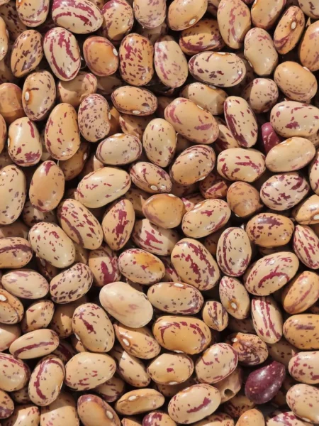 instant pot dried beans recipe no soaking with tender pinto beans in clear broth and onion pieces