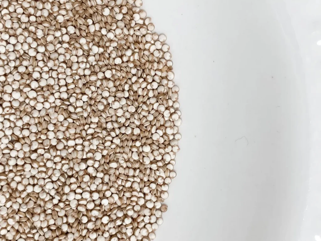 instant pot quinoa recipe perfect every time with fluffy white grains in a stainless steel insert and a fork lifting separate seeds