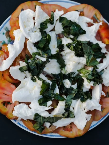 italian salad with mozzarella featuring tomato wedges, fresh basil, and halved mozzarella balls in olive oil on a white plate