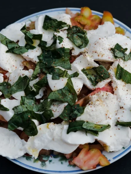 italian tomato salad recipe with red tomato wedges, torn basil, and red onion in olive oil on a white plate