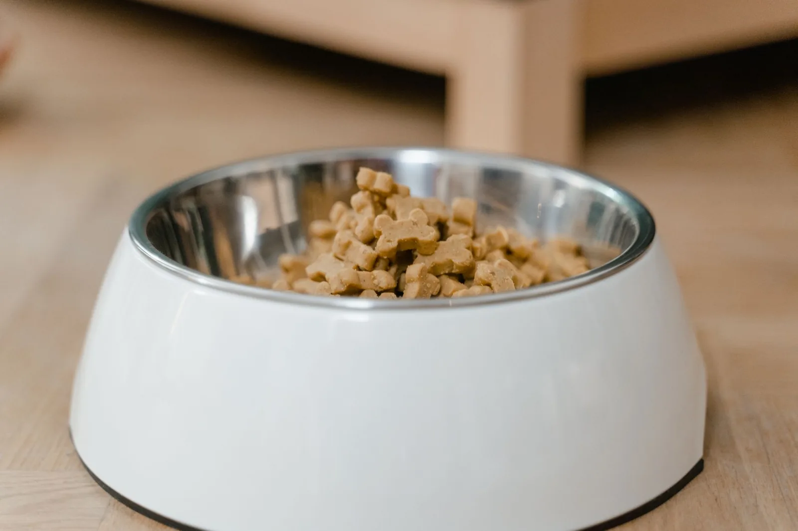 balanced homemade dog food with turkey rice and vegetables in bowl