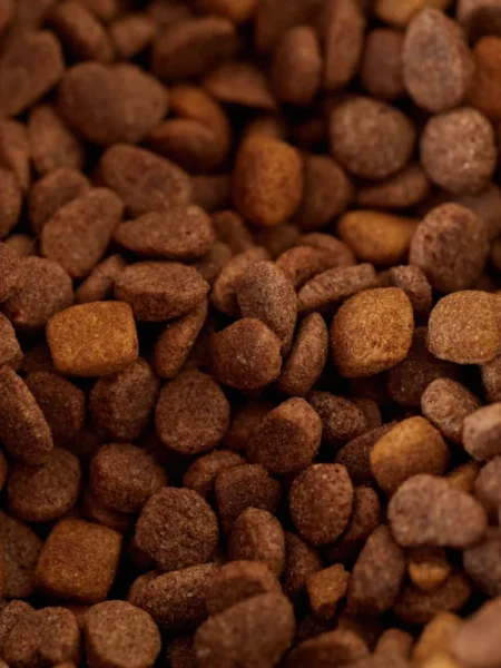 Nutty Puppy Chow