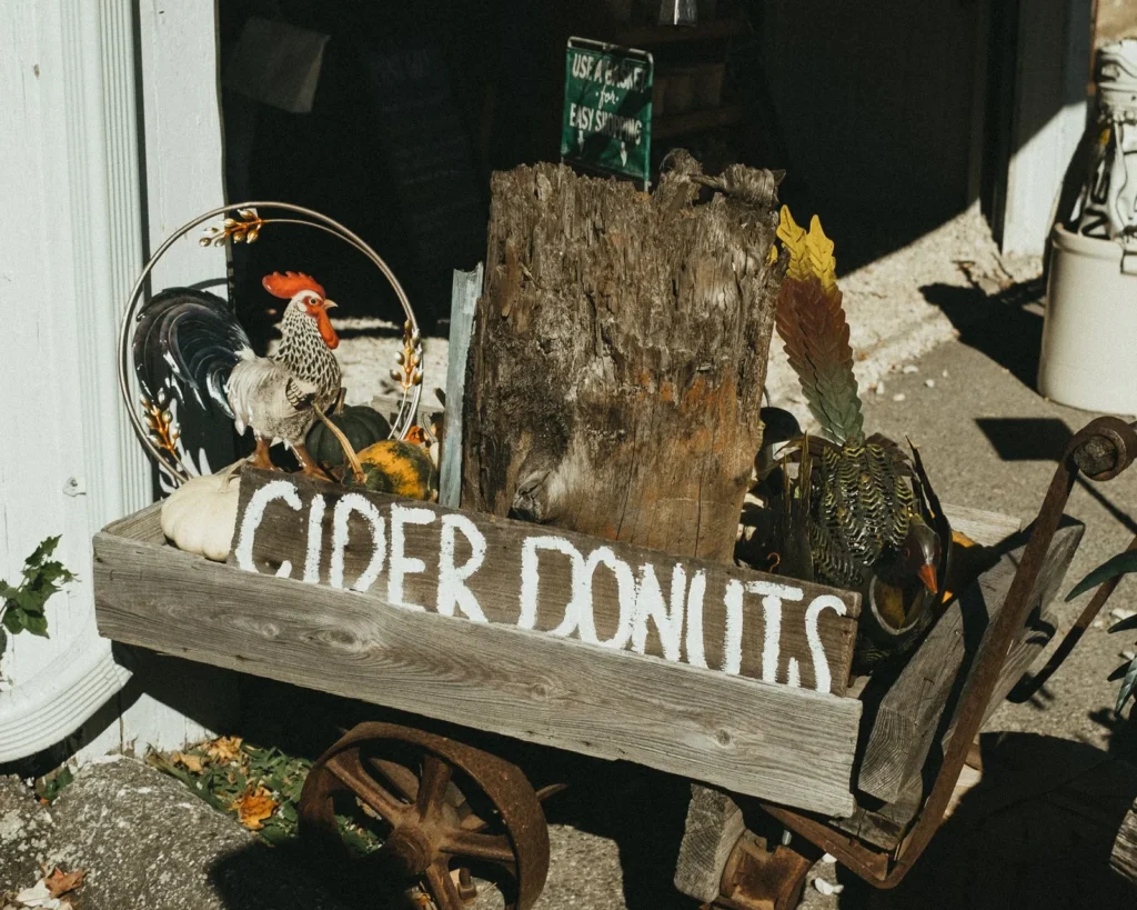 Old Fashioned Apple Cider Donuts Recipe