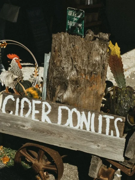 Old Fashioned Apple Cider Donuts Recipe
