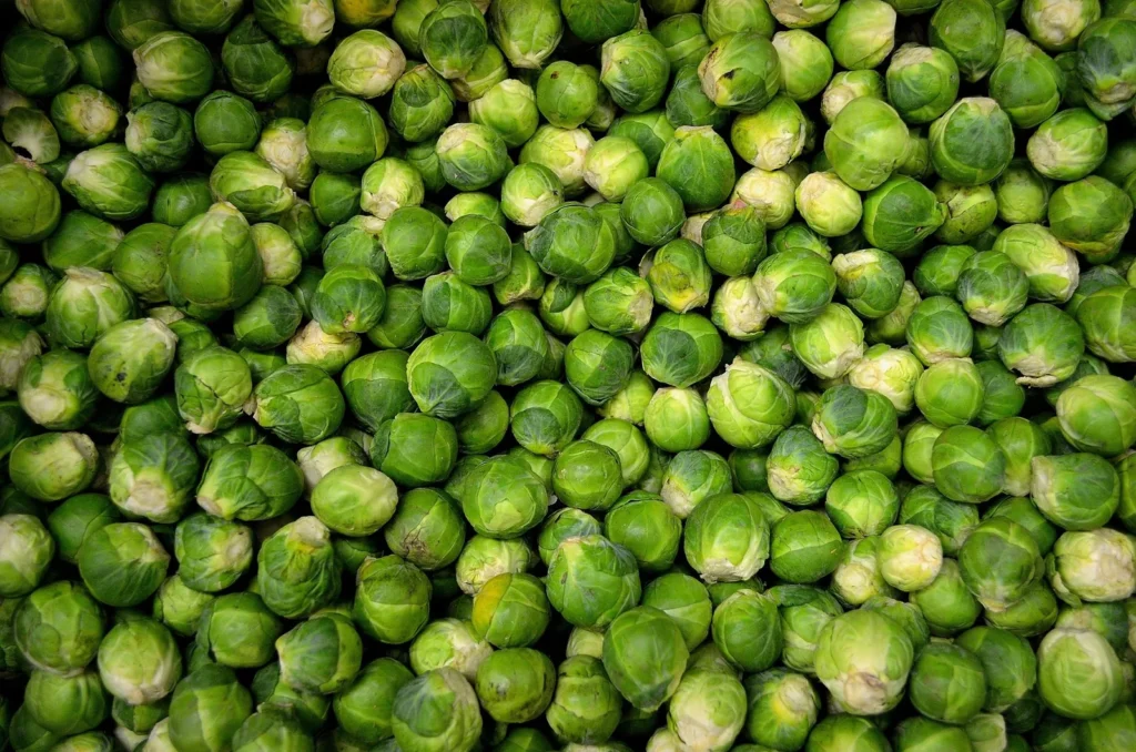 Pasta Salad With Brussels Sprouts