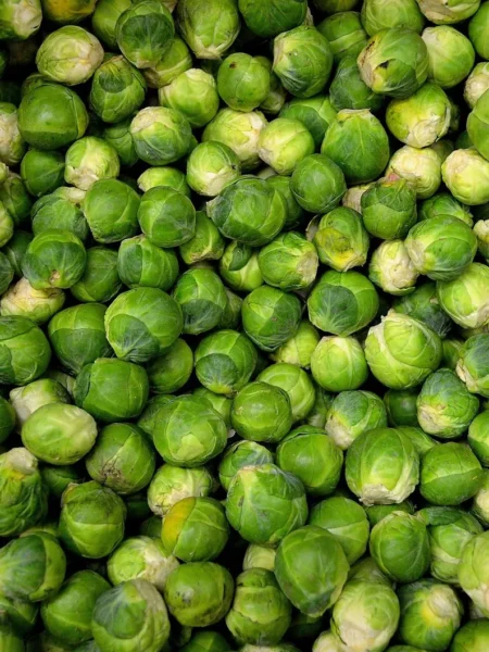 Pasta Salad With Brussels Sprouts