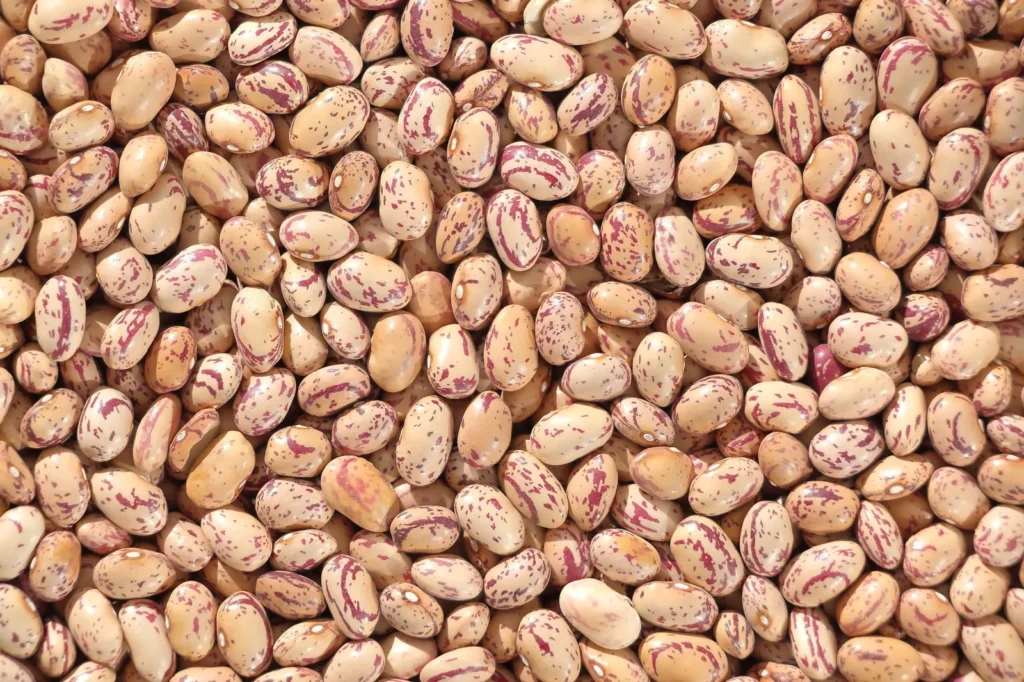 Pinto Bean Burgers