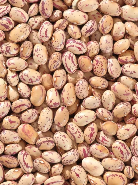 Pinto Bean Burgers