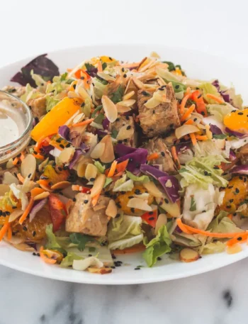 plant based dinner recipe for beginners