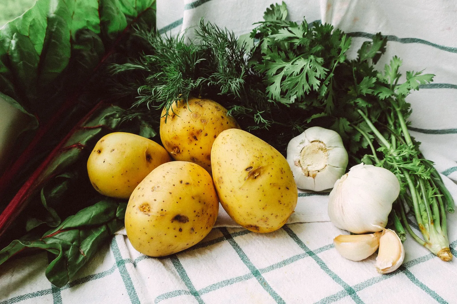 bowl of potato salad without eggs and mayo with herbs and cucumber