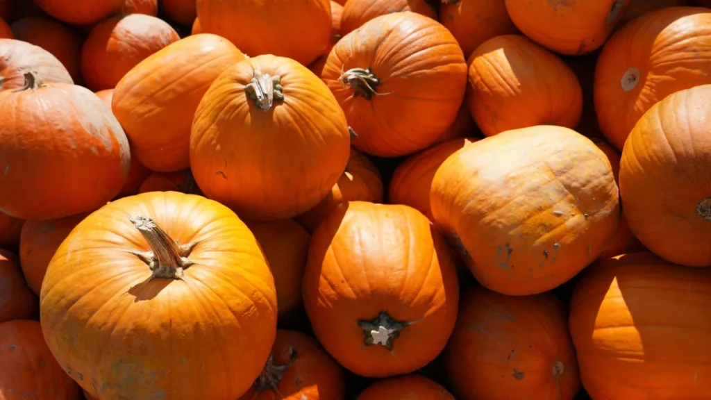 Pumpkin Recipe Collection