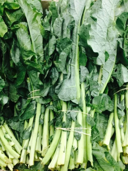 Southern Gumbo Greens Recipe