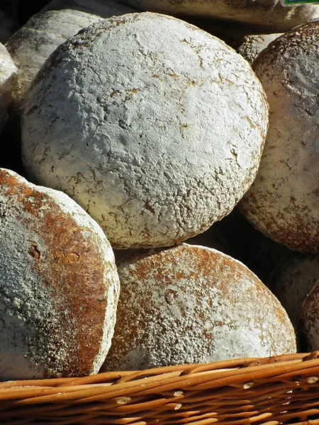 squaw bread recipe
