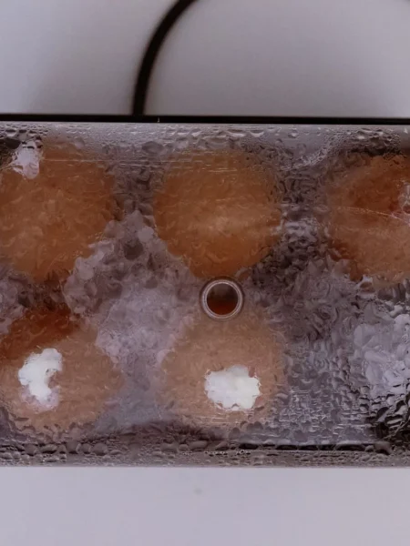 Steamed Eggs