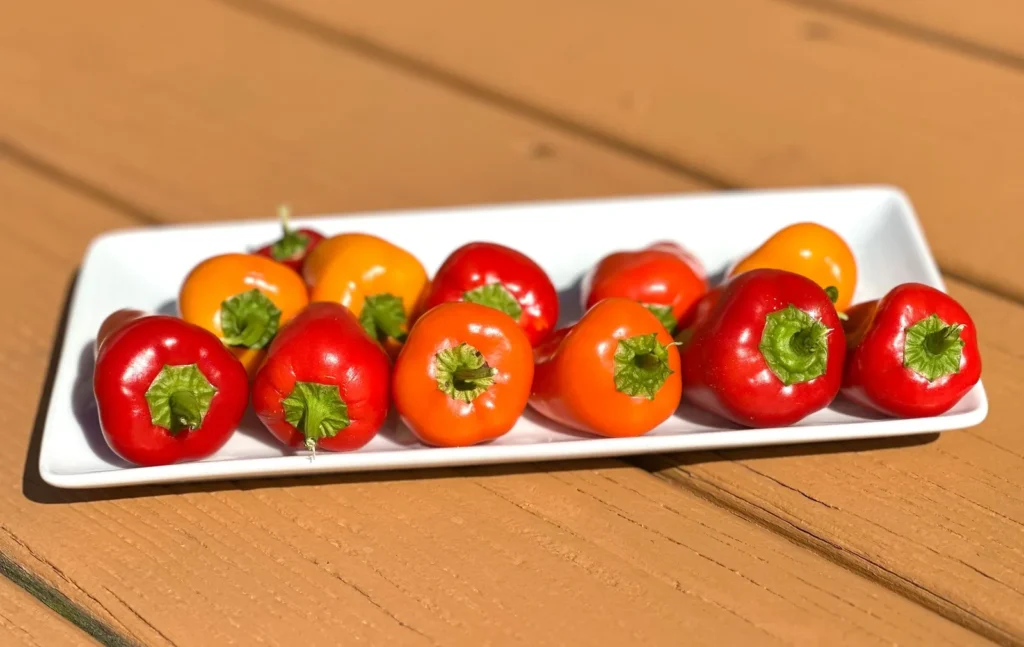 Stuffed Mini Sweet Peppers