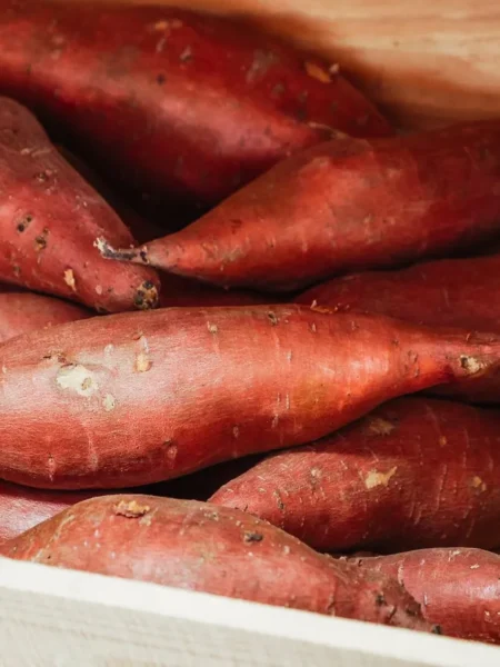sweet potato recipe indian food