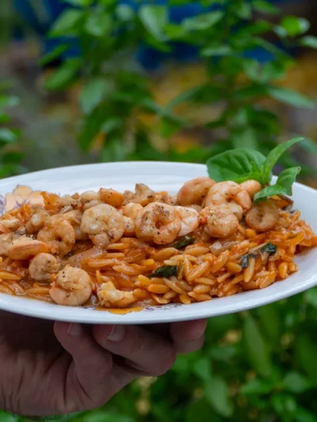 Tomato Basil Shrimp With Orzo