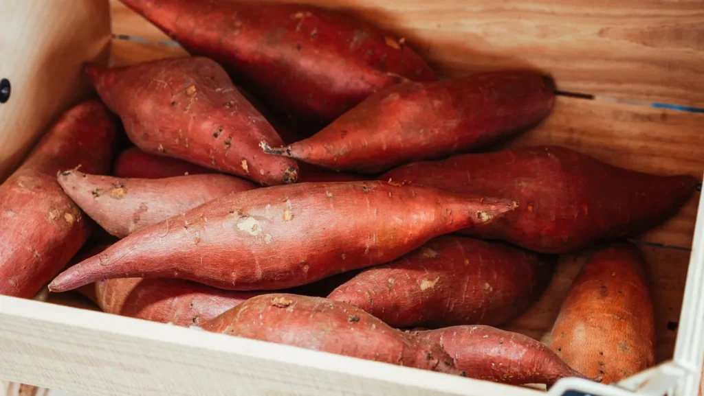 Turkey Sweet Potato Chili