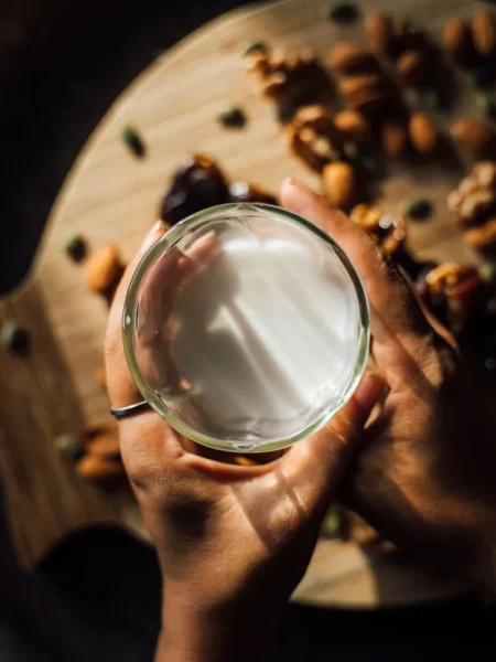 Vegan Eggnog