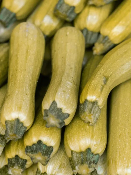Zucchini Bikini Chips